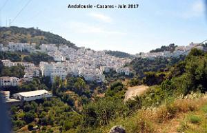 610- Casares